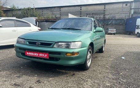 Toyota Corolla, 1997 год, 245 000 рублей, 1 фотография