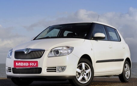 Skoda Fabia II, 2009 год, 760 000 рублей, 1 фотография