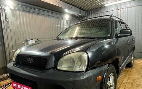 Hyundai Santa Fe III рестайлинг, 2004 год, 390 000 рублей, 3 фотография