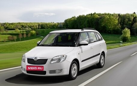 Skoda Fabia II, 2010 год, 620 000 рублей, 1 фотография