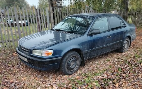 Toyota Corolla, 1997 год, 280 000 рублей, 5 фотография