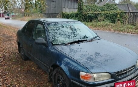 Toyota Corolla, 1997 год, 280 000 рублей, 4 фотография