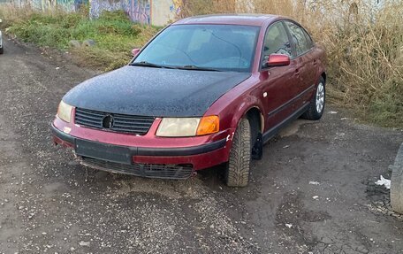 Volkswagen Passat B5+ рестайлинг, 1999 год, 135 000 рублей, 1 фотография