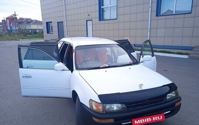 Toyota Corolla, 2000 год, 399 000 рублей, 1 фотография