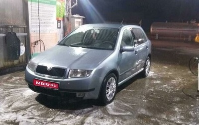 Skoda Fabia I, 2002 год, 290 000 рублей, 1 фотография