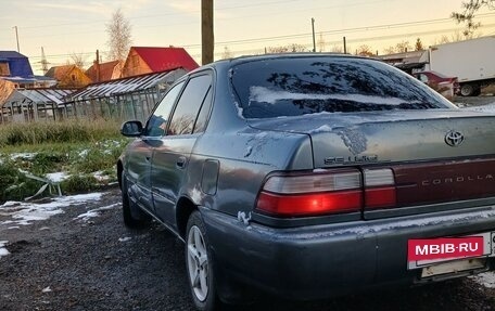 Toyota Corolla, 1994 год, 190 000 рублей, 5 фотография