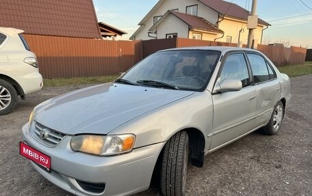 Toyota Corolla, 2001 год, 370 000 рублей, 1 фотография