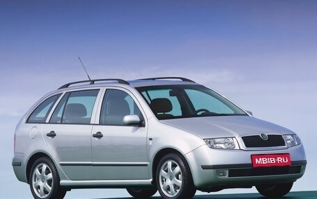 Skoda Fabia I, 2003 год, 385 000 рублей, 1 фотография