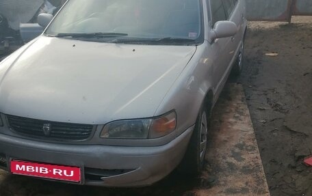 Toyota Corolla, 1999 год, 380 000 рублей, 1 фотография