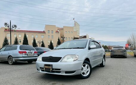 Toyota Corolla, 2002 год, 749 999 рублей, 1 фотография