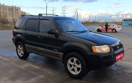 Ford Escape II, 2001 год, 480 000 рублей, 1 фотография