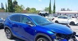 Lexus NX I, 2020 год, 3 930 000 рублей, 12 фотография