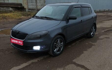 Skoda Fabia II, 2013 год, 730 000 рублей, 1 фотография