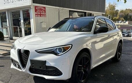 Alfa Romeo Stelvio, 2021 год, 3 600 000 рублей, 2 фотография