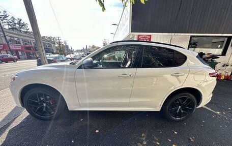 Alfa Romeo Stelvio, 2021 год, 3 600 000 рублей, 7 фотография