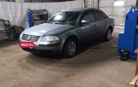 Volkswagen Passat B5+ рестайлинг, 2003 год, 500 000 рублей, 4 фотография