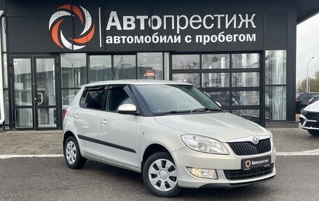 Skoda Fabia II, 2013 год, 899 000 рублей, 1 фотография