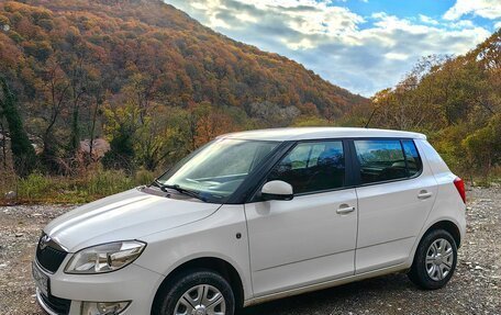 Skoda Fabia II, 2014 год, 680 000 рублей, 3 фотография