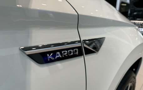 Skoda Karoq I, 2024 год, 3 495 000 рублей, 25 фотография