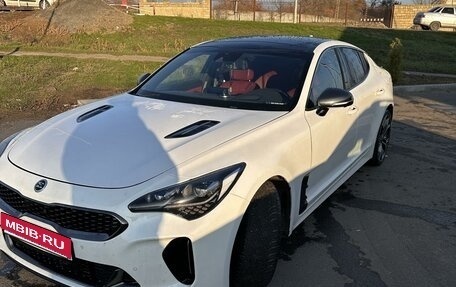 KIA Stinger I, 2019 год, 2 500 000 рублей, 1 фотография