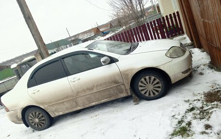 Toyota Corolla, 2003 год, 570 000 рублей, 2 фотография