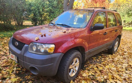 Ford Escape II, 2005 год, 645 000 рублей, 3 фотография