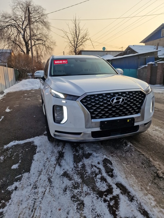 Hyundai Palisade I, 2020 год, 4 650 000 рублей, 1 фотография