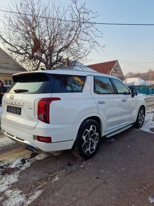 Hyundai Palisade I, 2020 год, 4 650 000 рублей, 2 фотография