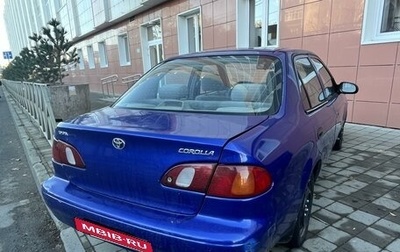 Toyota Corolla, 1999 год, 239 000 рублей, 1 фотография