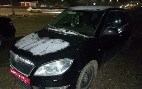 Skoda Fabia II, 2010 год, 350 000 рублей, 3 фотография