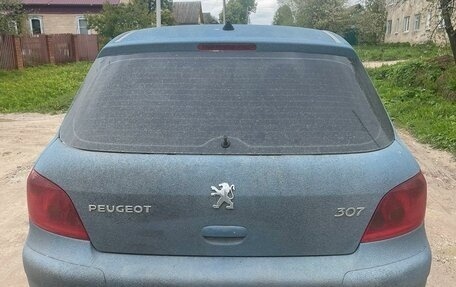 Peugeot 307 I, 2003 год, 175 000 рублей, 6 фотография