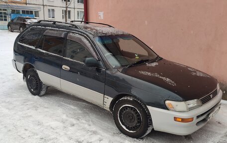 Toyota Corolla, 1996 год, 330 000 рублей, 1 фотография