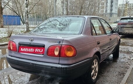 Toyota Corolla, 1999 год, 265 000 рублей, 3 фотография