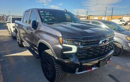 Chevrolet Silverado, 2024 год, 11 890 000 рублей, 3 фотография