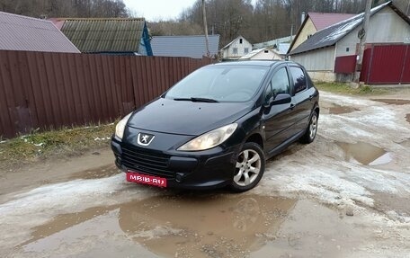 Peugeot 307 I, 2006 год, 370 000 рублей, 1 фотография