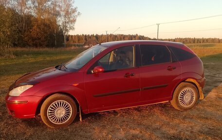 Ford Focus IV, 2003 год, 320 000 рублей, 1 фотография