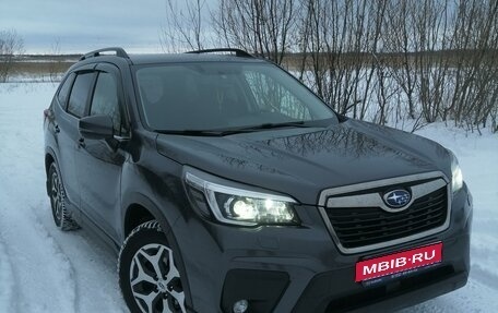 Subaru Forester, 2019 год, 3 100 000 рублей, 1 фотография