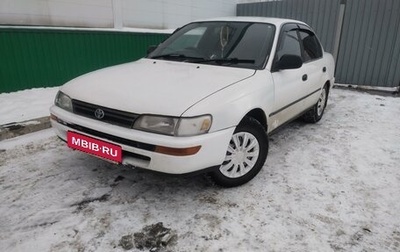 Toyota Corolla, 1993 год, 265 000 рублей, 1 фотография