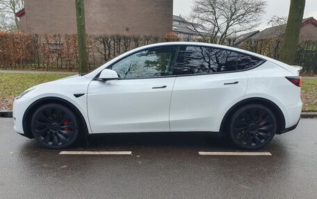 Tesla Model Y I, 2024 год, 7 226 000 рублей, 4 фотография