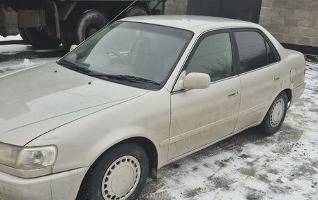 Toyota Corolla, 1997 год, 360 000 рублей, 6 фотография