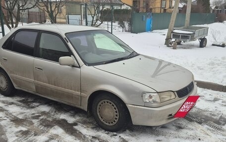 Toyota Corolla, 1997 год, 360 000 рублей, 2 фотография