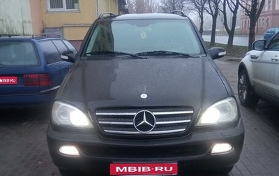 Mercedes-Benz M-Класс, 2003 год, 1 150 000 рублей, 1 фотография