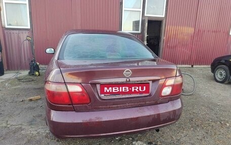 Nissan Almera, 2003 год, 370 000 рублей, 6 фотография