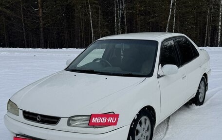 Toyota Corolla, 1997 год, 350 000 рублей, 3 фотография