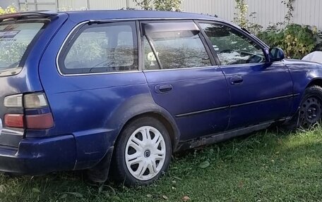 Toyota Corolla, 1998 год, 220 000 рублей, 4 фотография