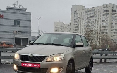 Skoda Fabia II, 2010 год, 720 000 рублей, 1 фотография