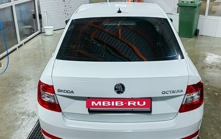 Skoda Octavia, 2016 год, 1 450 000 рублей, 4 фотография