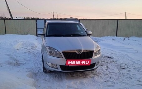 Skoda Fabia II, 2010 год, 600 000 рублей, 22 фотография