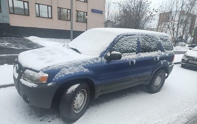 Ford Escape II, 2004 год, 390 000 рублей, 1 фотография