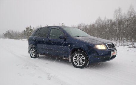 Skoda Fabia I, 2001 год, 400 000 рублей, 2 фотография